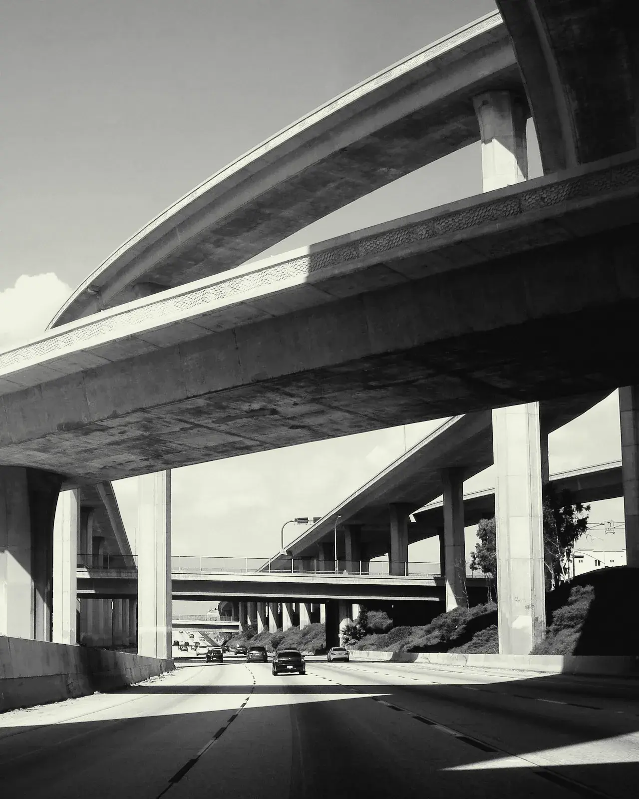 Concrete freeway overpasses curving over an empty lane.