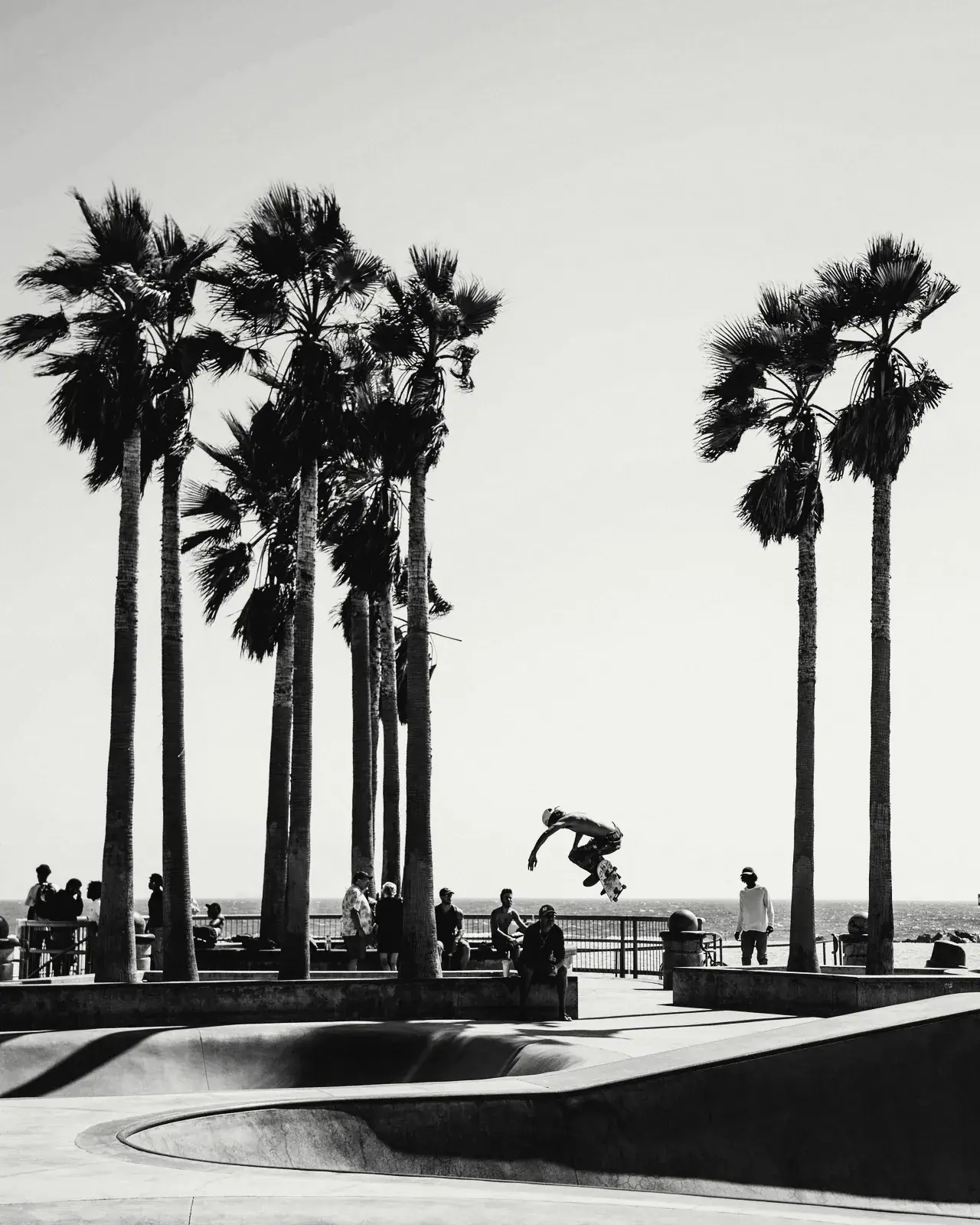 A skater in the air above a concrete bowl, under a row of palm trees at the beach.